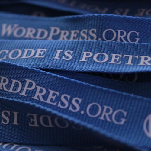 Manutenzione Wordpress Big